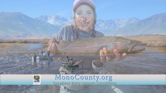 Mono Fishing Part 2 смотреть онлайн