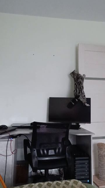 Штурм монитора