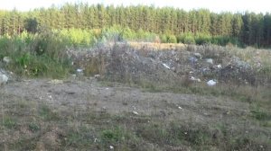 Водород + кислород = сверхзвуковая реакция (научный эксперимент)