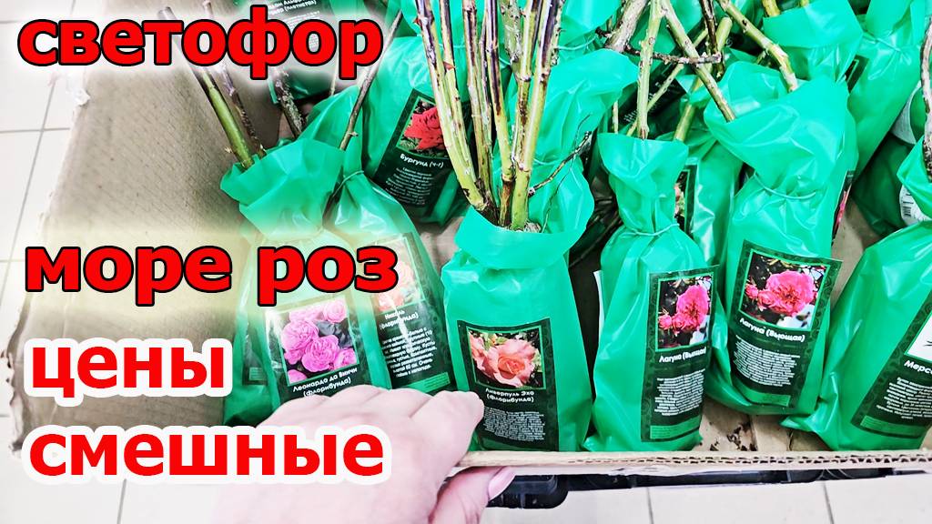 Огоо Светофор.Море роз по смешной цене.Вкусный шашлык к сезону.Разлетается все на Ура.Апрель 2025 смотреть онлайн