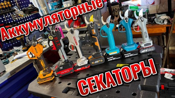 Большой обзор на аккумуляторные секаторы