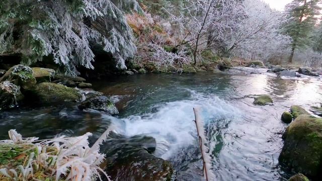 Знаки смотреть онлайн