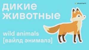 Дикие животные на английском языке - мультфильм для детей