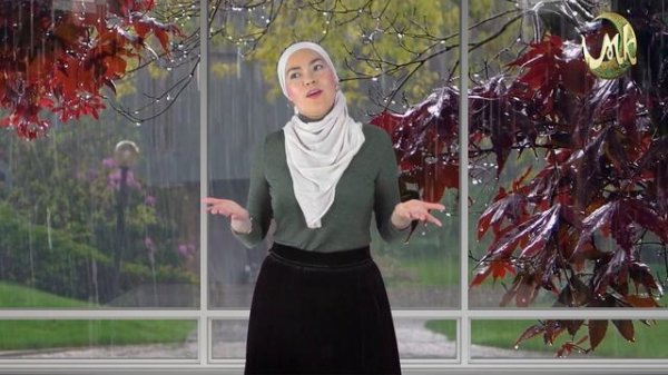 Разговор с Гульбикой ханум. Своевременность.