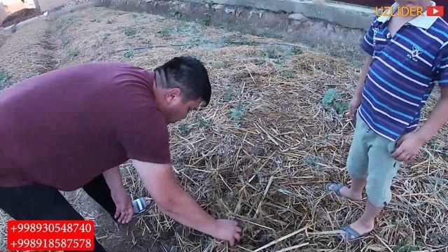 КАМ ПУЛ ТИКИБ КАТТА БИЗНЕС БОШЛАШ смотреть онлайн