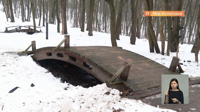 Вячеслав Гладков проехал в выходные по Белгороду и району смотреть онлайн