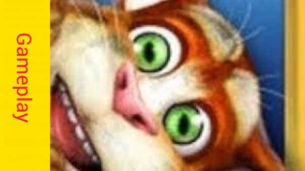 Gameplay of Talking Tom CAT 3