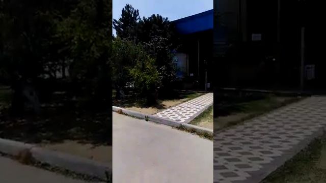 Ташкент Узбекистан центр плова смотреть онлайн