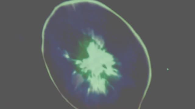 2025 Астрокомплекс