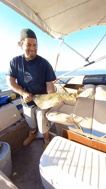 First halibut of the year смотреть онлайн