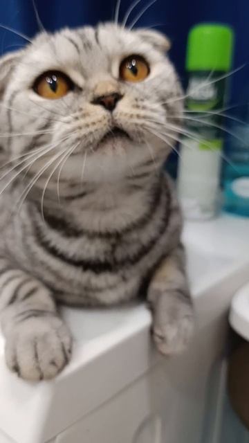 Играет с бумажкой