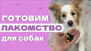 КАК СУШИТЬ ЛАКОМСТВО ДЛЯ СОБАК / ВКУСНЯШКИ / ЛЕГКОЕ / ПЕЧЕНЬ