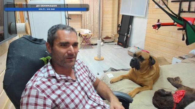 Наши любимые хвостики. смотреть онлайн