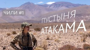 Путешествие по Чили. Часть №1. Пустыня Атакама.