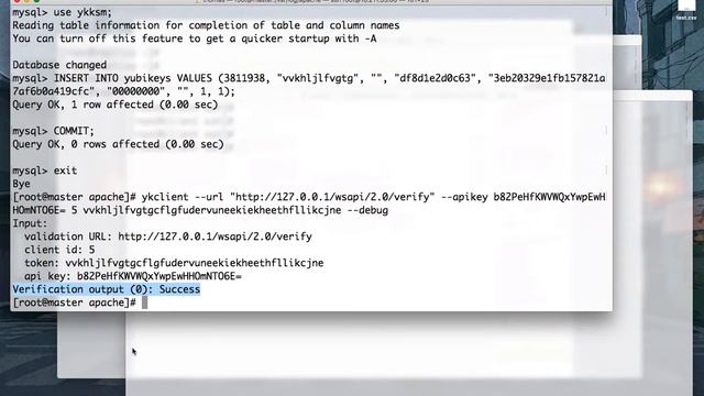 Yubikey local servers - registering clients and keys смотреть онлайн