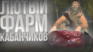 12+ ЧАСОВ ФАРМА НА МОЛОДЫХ КАБАНЧИКАХ В STAY OUT
