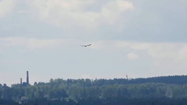№5259 07 06 2024 Завтрак на траве смотреть онлайн