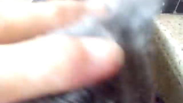 Moli , bebe gatito cartujo 21 septiembre смотреть онлайн