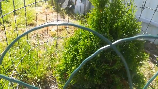 Что сделано за лето на стройке? Наши планы. смотреть онлайн