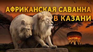 Как африканские животные готовятся к лету в зоопарке Казани 🦍