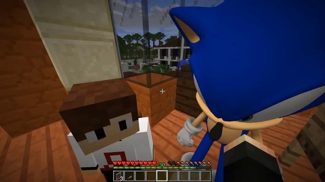 THE MAN FROM THE WINDOWS ESPIONNE SONIC PENDANT LA NUIT SUR MINECRAFT ! смотреть онлайн