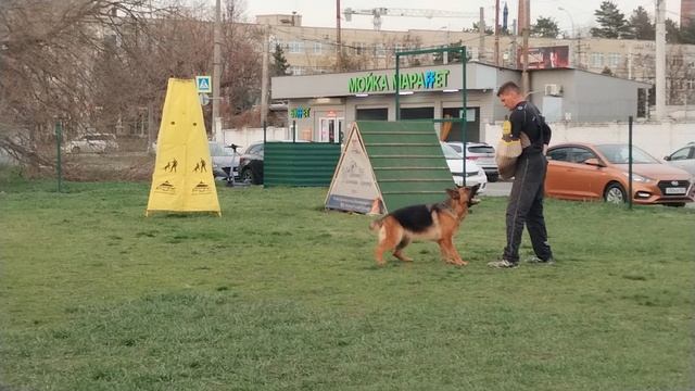 1.  выражено/перв ЗАВИСТЬ БОГОВ ОМА (Баларис Блэк Файер – Зависть Богов Пининфарина)