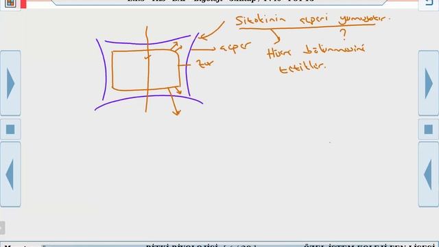 bitki biyolojisi ders 9 смотреть онлайн