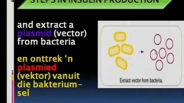 Matric Revision: Life Sciences: Genetics: Biotechnology (2/9): DNA (1/3) insulin (1/2) смотреть онлайн