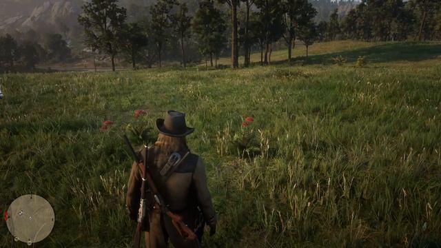 Ghosting on plants - RDR2 PSPRO смотреть онлайн