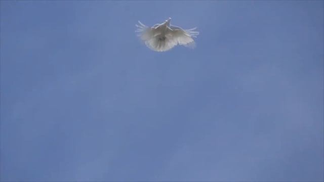 Апрель 2019 год смотреть онлайн