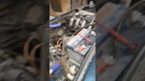 Нива на шеснаре завершение.