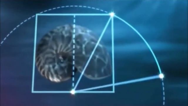 Third Eye Vision смотреть онлайн