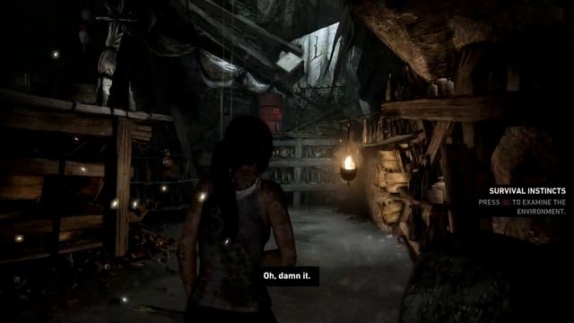 Let's Play Tomb Raider 2013 on the Mac - 1080P / 60FPS - E1 - Crashlanding смотреть онлайн