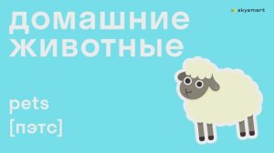 Домашние животные на английском - мультфильм для детей