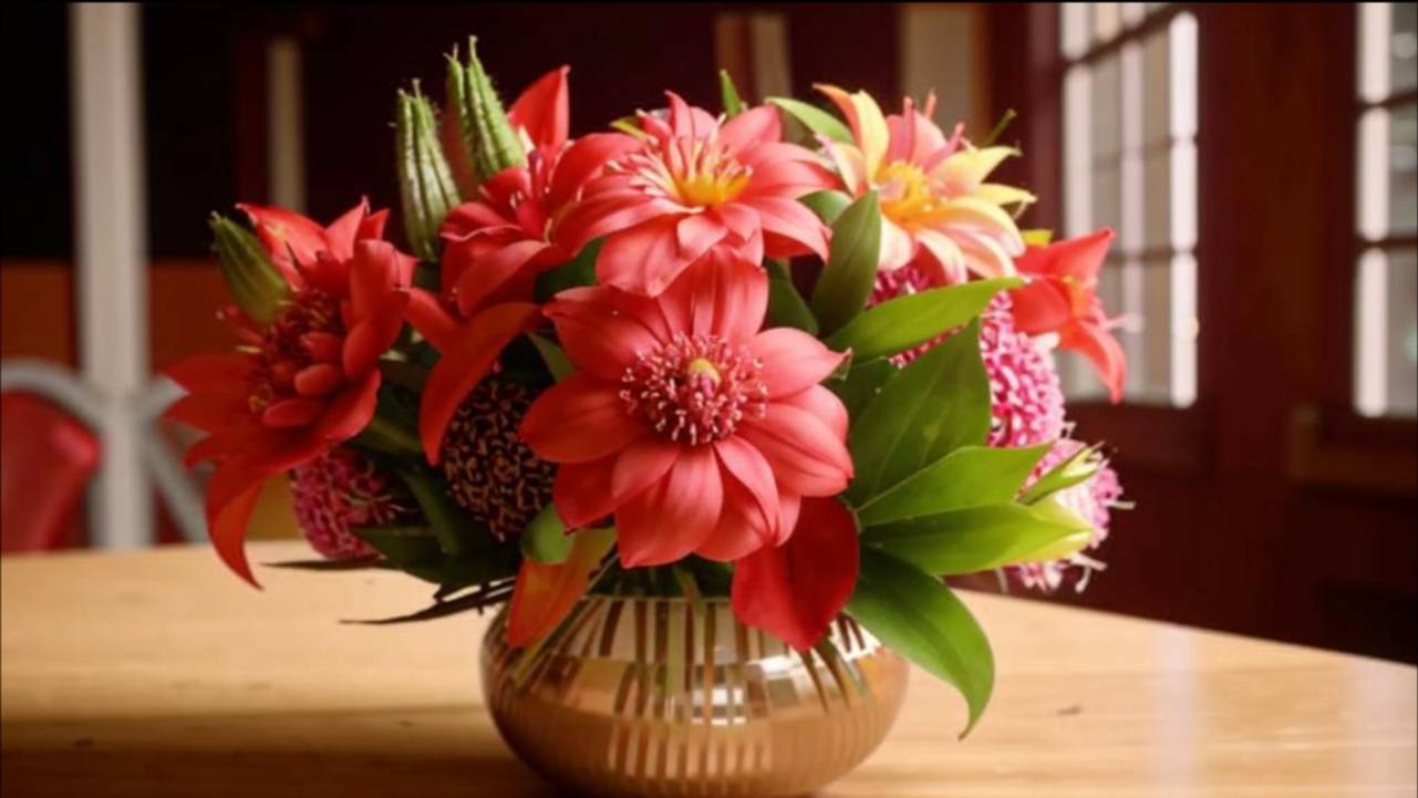 С днём рождения, Люда смотреть онлайн