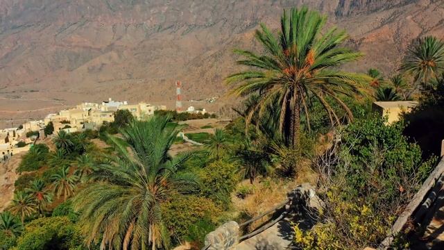 Оман: роскошь и мрачное наследие рабства, отмененного всего 50 лет назад! смотреть онлайн