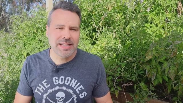 Best Tomato To Grow In YOUR Zone