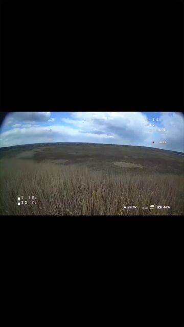 Fpv