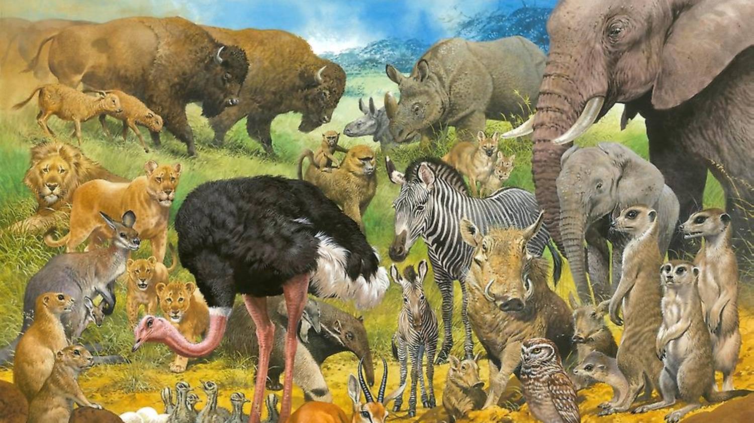 Животные - кто что ест? Пищевые цепи. смотреть онлайн