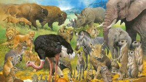 Животные - кто что ест? Пищевые цепи.