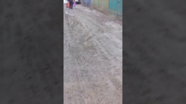 Состояние дороги в ДНТ "Светоч" смотреть онлайн