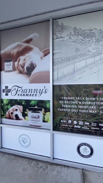 New Woman-Owned CBD Store Coming To Florida #wellness #shorts