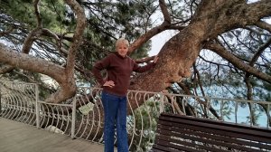 Отдых в санатории Ай-Петри. День 1-ый