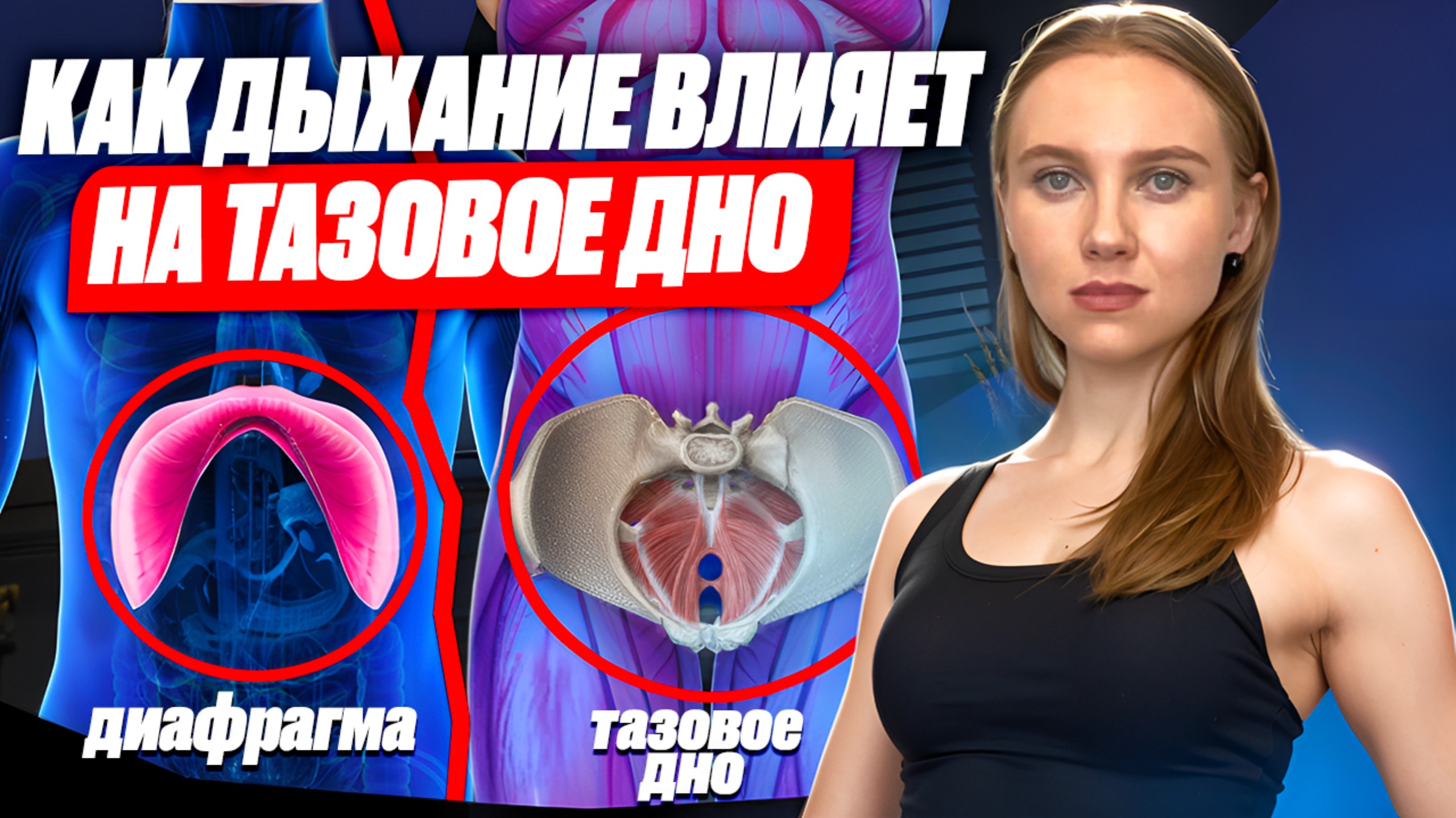 ДИАФРАГМА и ТАЗОВОЕ ДНО // Что общего? // КАК ДЫХАНИЕ ВЛИЯЕТ НА ТАЗОВОЕ ДНО // УПРАЖНЕНИЯ смотреть онлайн