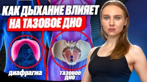 ДИАФРАГМА и ТАЗОВОЕ ДНО // Что общего? // КАК ДЫХАНИЕ ВЛИЯЕТ НА ТАЗОВОЕ ДНО // УПРАЖНЕНИЯ