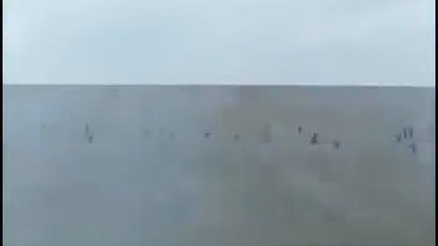 Немцы едут в Сталинград смотреть онлайн
