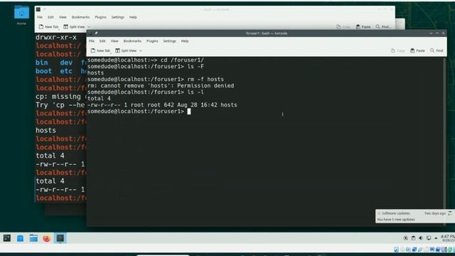 Free: Linux 101 Course: Lab 5A pt 2 File System Management II: Permissions on Files and Directories смотреть онлайн