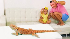 Большие и маленькие | Детские песни Майи и Маши+Детские сборники