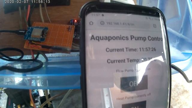 Monitoring Water Temperature and Battery Voltage (My Aquaponics) via Wemos D1 Mini web server - Pt смотреть онлайн