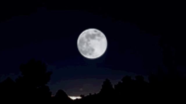 Holdvilágos éjszakán miröl álmodik a lány -- MrKazooy énekel смотреть онлайн